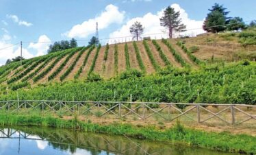 Degustazione spumanti e visita cantina nel vigneto più alto d'Europa