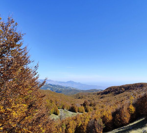 Vista panoramica del Cozzo del Pellegrino