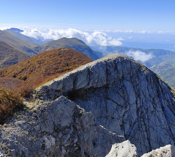 Cozzo del Pellegrino