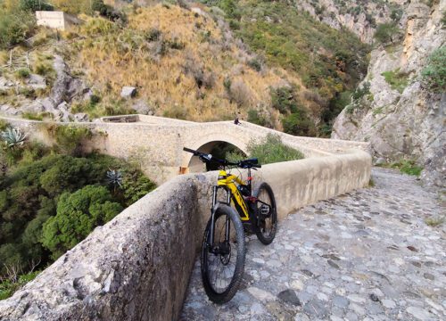 E-bike tour