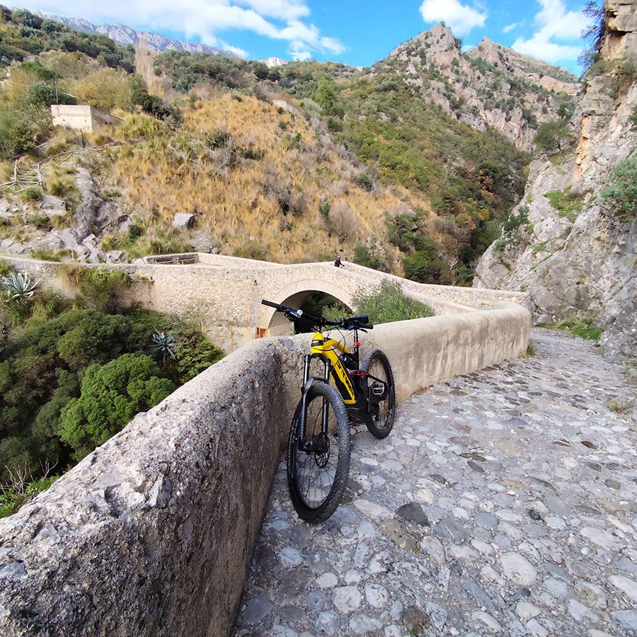 E-bike tour