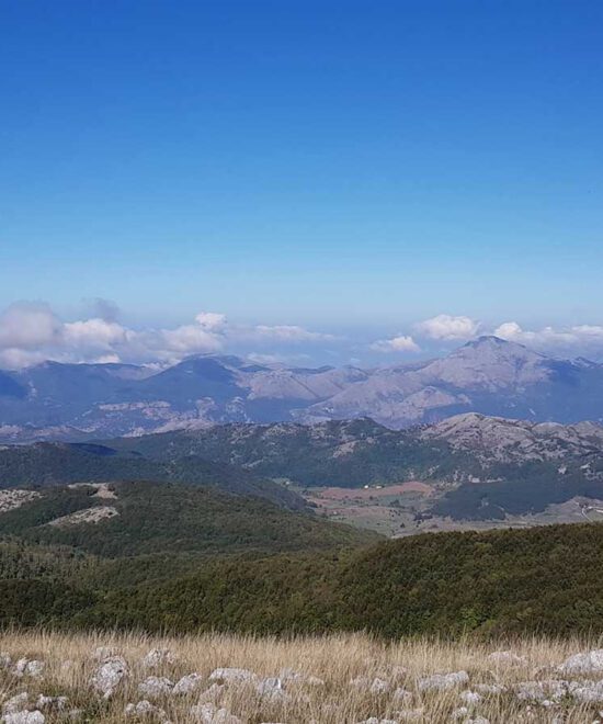Monte Palanuda
