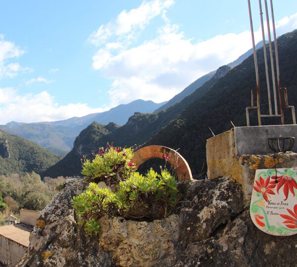 Valle Argentino a Orsomarso - particolare