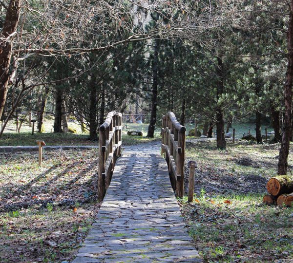 Percorso nella Valle Argentino a Orsomarso