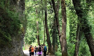 Valle Argentino Orsomarso