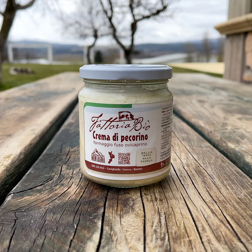 Crema di pecorino in vasetto