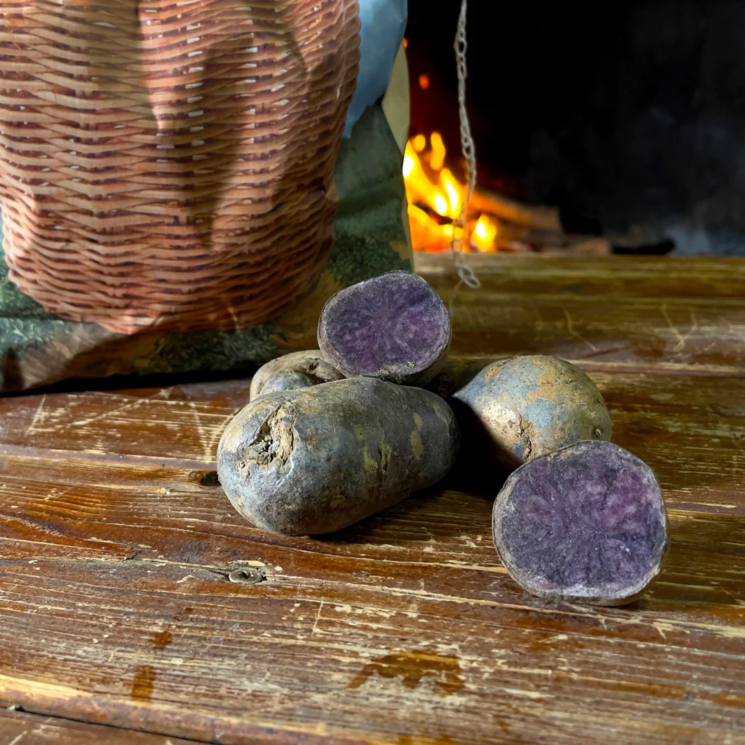 Patate viola Bergerac