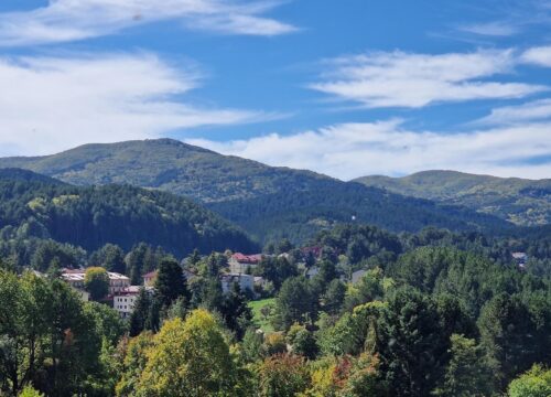 Riserva Biogenetica del Tasso