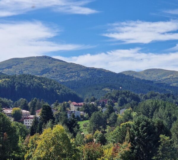 Riserva Biogenetica del Tasso a due passi da Camigliatello Silano (CS)