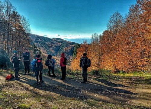 Anello dell’Abetazzo<br>Nardello - Monte Basilicò