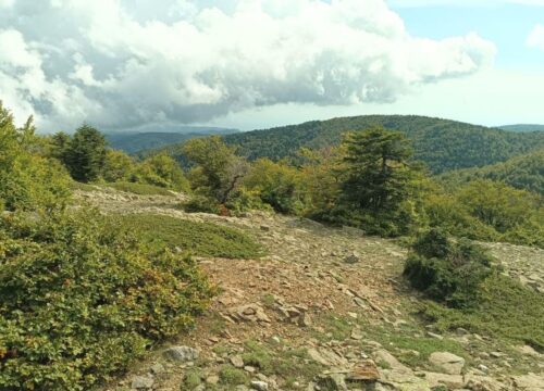 Doppio Anello di Materazzelli - Montalto
