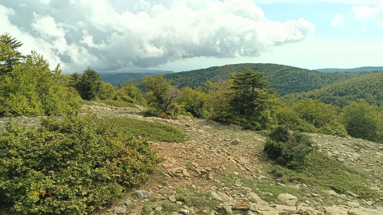 Doppio Anello di Materazzelli - Montalto