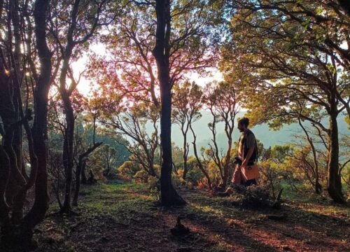 Grande Anello di Zomaro