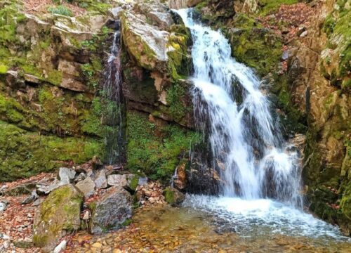 Il Bosco delle Fate e il Bosco degli Artisti