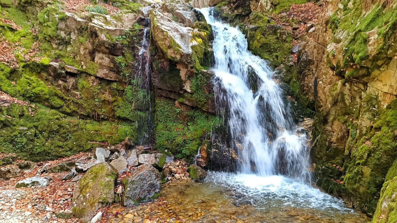 Il Bosco delle Fate e il Bosco degli Artisti