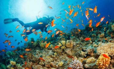 Corsi di immersione<br>di primo livello