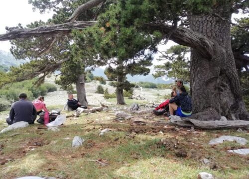 Zi Peppe e il giardino degli Dei