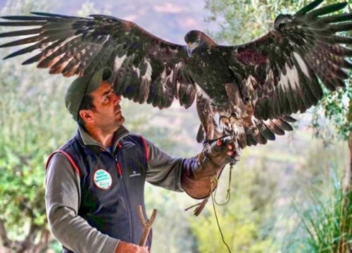Caccia al tesoro e Rapaci del Pollino