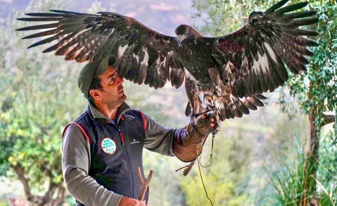 Civita: storie, leggende e rapaci del Pollino