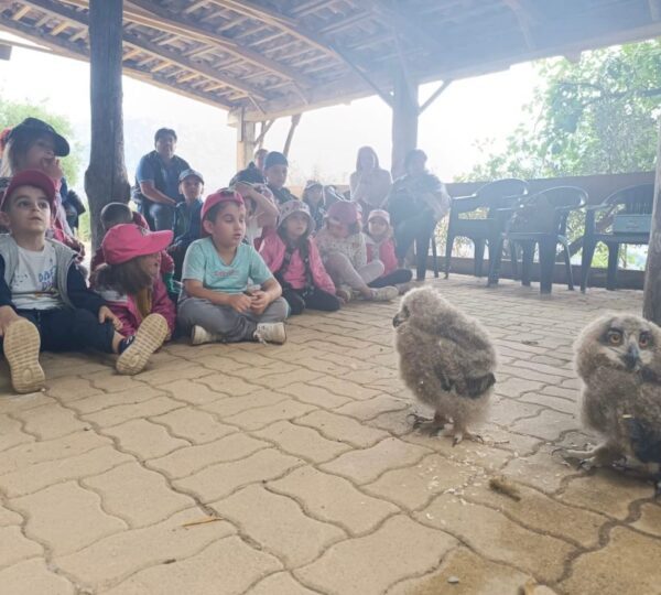 Educazione ambientale interattiva