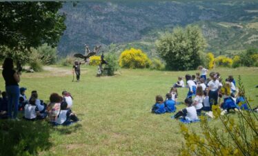 Educazione ambientale e natura